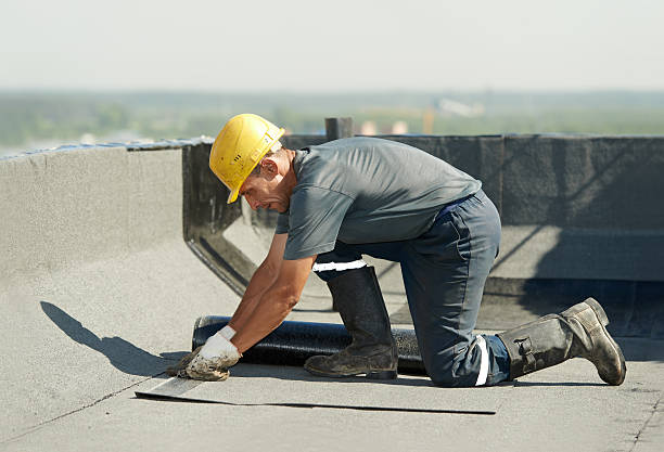 Best Residential Insulation in Newark, TX